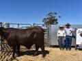 Era Ends: Wilmona Pastoral's Emily and Michael Doering with the $12,000 bull, Wilmona Chuck.