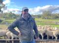 Clock work: Chelwood Farming producer Andrew Mitchell, Mintaro, schedules his sheep care with everything else going on across the property.