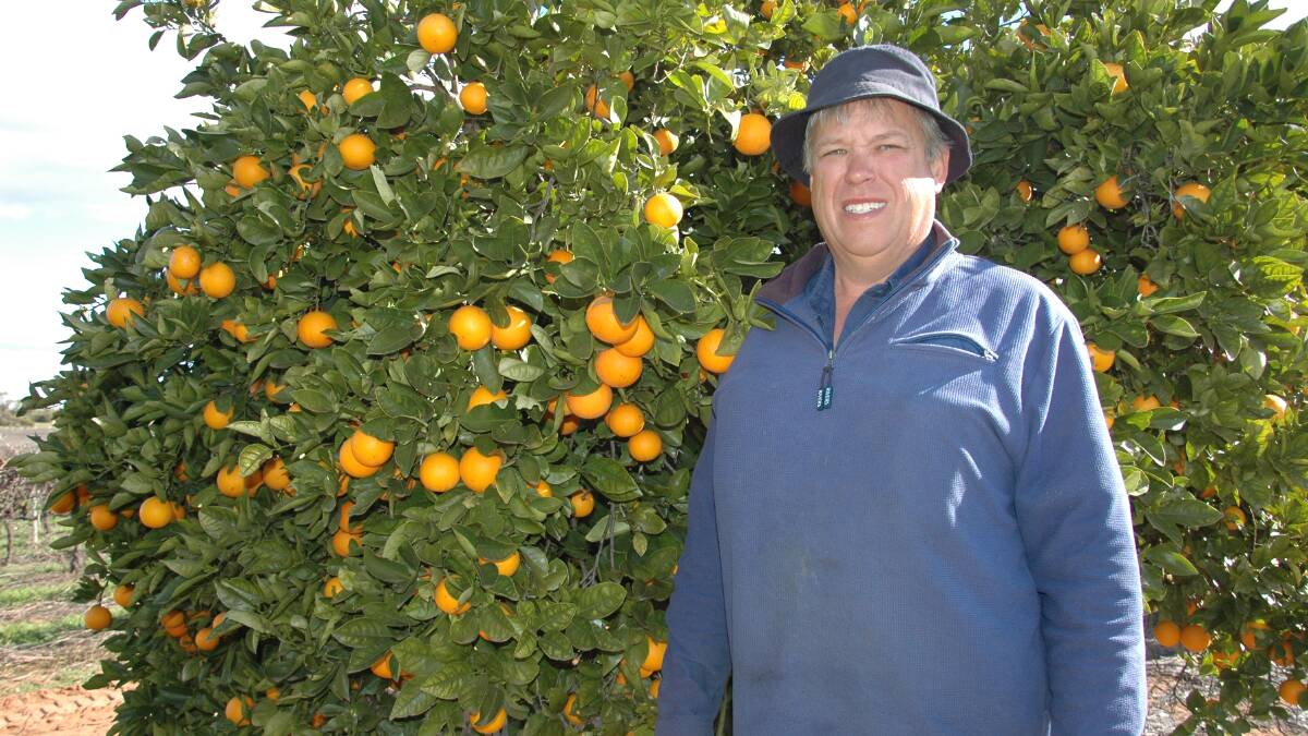 Riverland Field Days committee member and Waikerie fruit grower Anthony Fulwood is looking forward to the 60th annual field day on September 15 and 16.