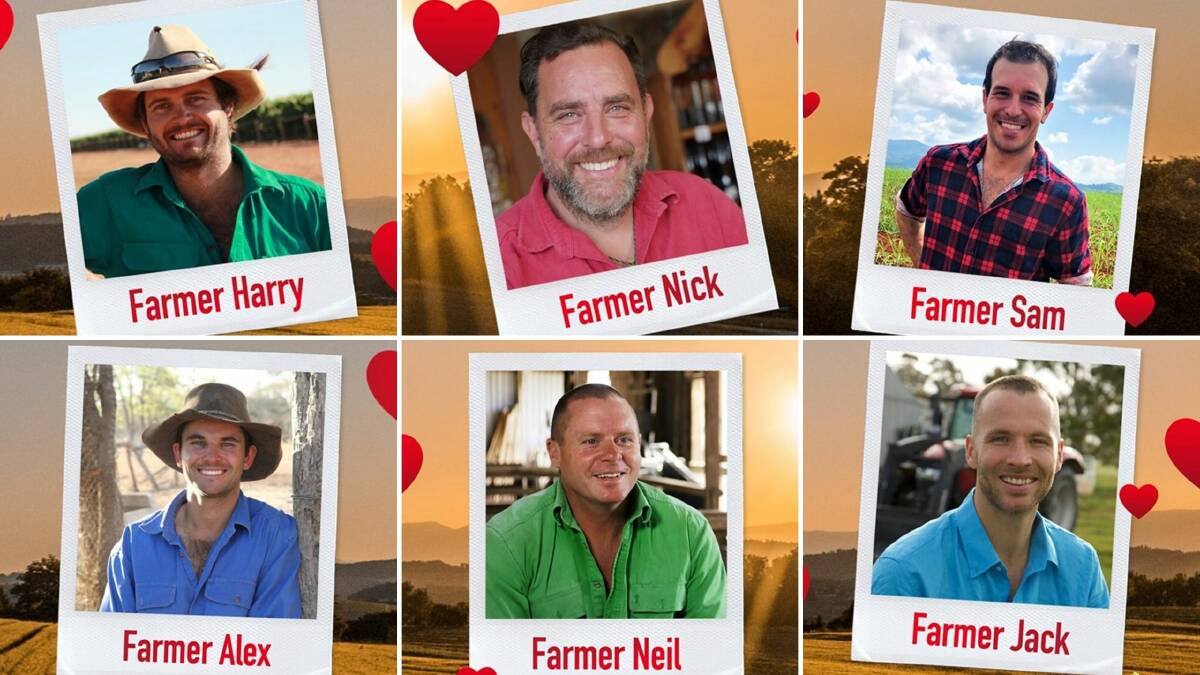 Six men will appear on the latest season of Farmer Wants a Wife. Photos: Seven