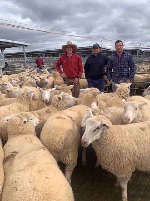 Forbes Livestock Agency Company agent Randal Grayson, with Chris and Isaac Petropoulos, Champsaur, Forbes, and the $355 top priced lambs at Forbes on Tuesday.