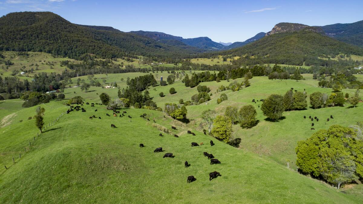 RAY WHITE RURAL: Bonnie Doon is 172 hectares of fertile, rich dairy country in the Gold Coast hinterland.