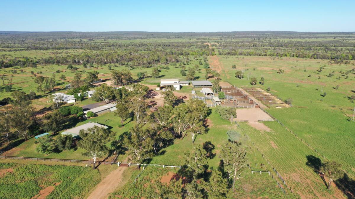 BOOM TIMES: The 9285 hectare MacKenzie River property Berrigurra at Blackwater will be auctioned by Elders on May 19.