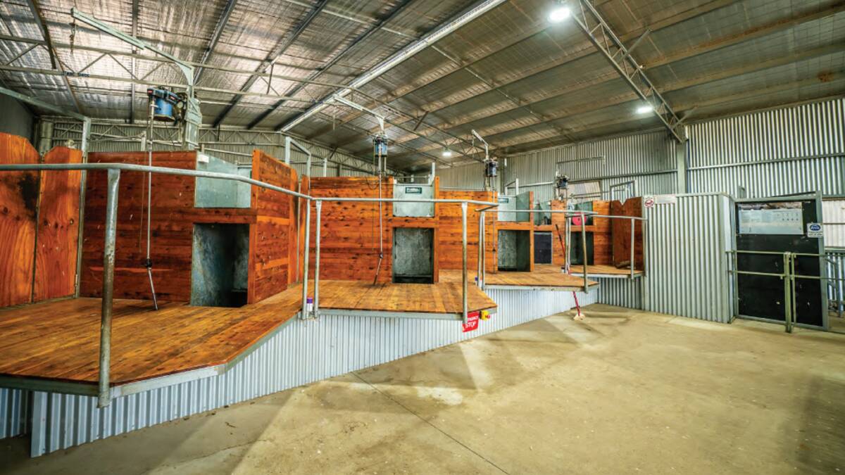 Infrastructure includes a 2017-built raised board, four stand shearing shed. Picture supplied 