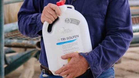 PAIN RELIEF: Trisolfen is being trialed as a treatment for often painful venous leg ulcers.