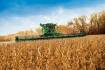 Major grain exporting region grapples with poor weather and cuts to summer crops