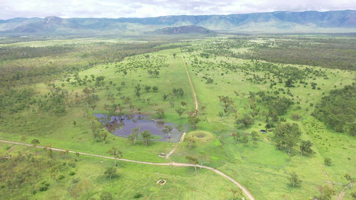 GOING CONCERN: Granitevale Station will be auctioned by Slaney and Co and Landmark Harcourts in Townsville on March 31.