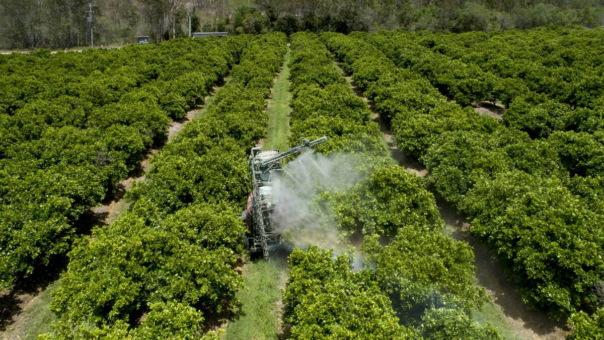 The 83 hectare property features 23,800 citrus trees.