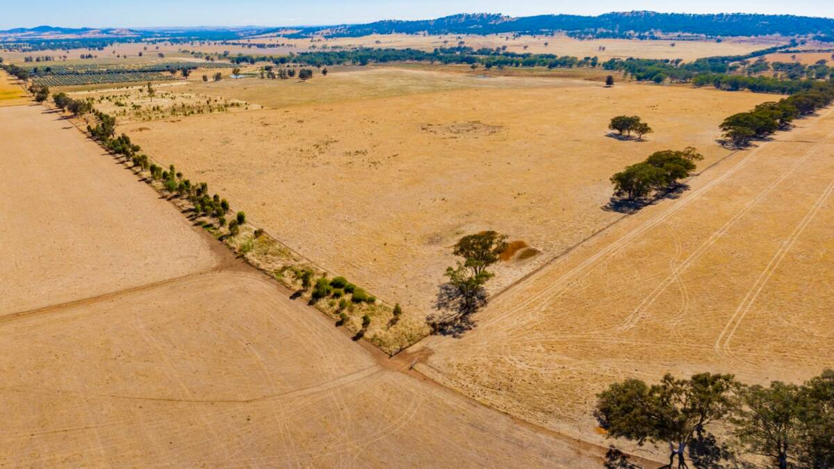Parafield is regarded as ideal for livestock and cropping and is divided into nine paddocks. Picture supplied