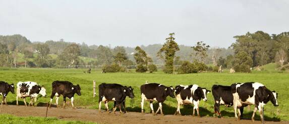 A 30c price increase on Coles' 3L Own Brand milk will be donated to the NFF’s 2018 Drought Relief Fund.