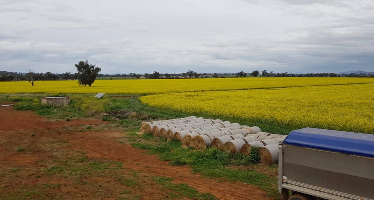 Recent crops have included canola, cereals and pulses. Picture supplied