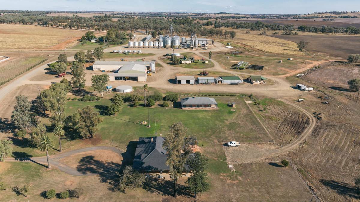 TOUGH TIMES: Troubled farm business Ceres Agricultural Company has been placed in voluntary administration. 