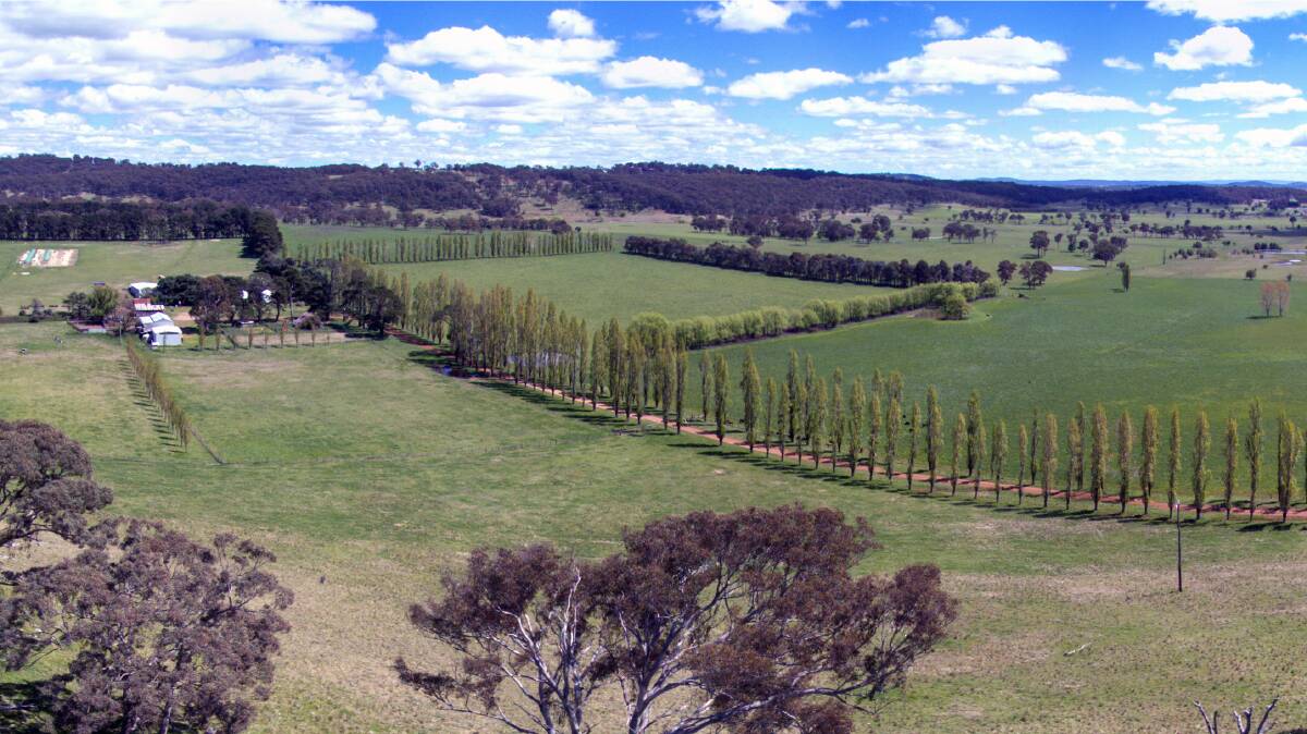 GLEN INNES: Cherry Tree Farms will be auctioned by Ray White Rural in Glen Innes on March 27.