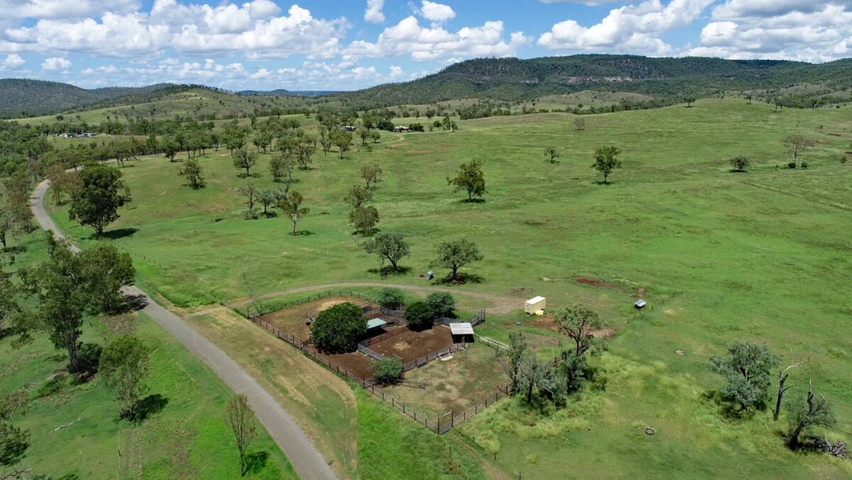 The Cedars is a 5162 acre property that has been developed as a sustainable breeding enterprise that has conservatively run 350 breeders. Picture supplied