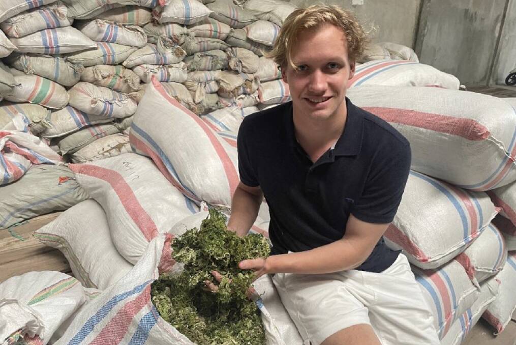 Josh Olsson has also been working in Indonesia investigating green seaweed as a methane mitigate. 