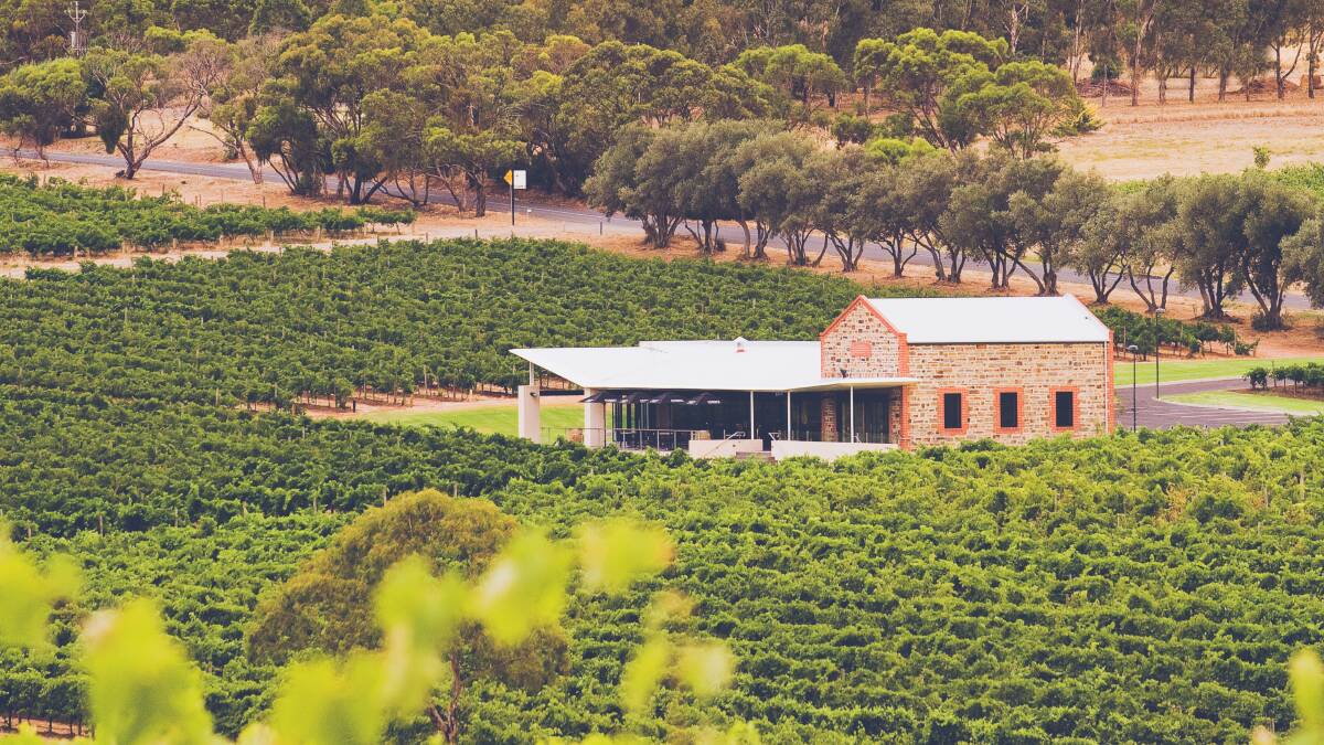 ORGANIC CERTAINTY: Angove Family Winemakers operates across two vineyards spanning 300ha in South Australia's rich McLaren Vale and Riverland regions.