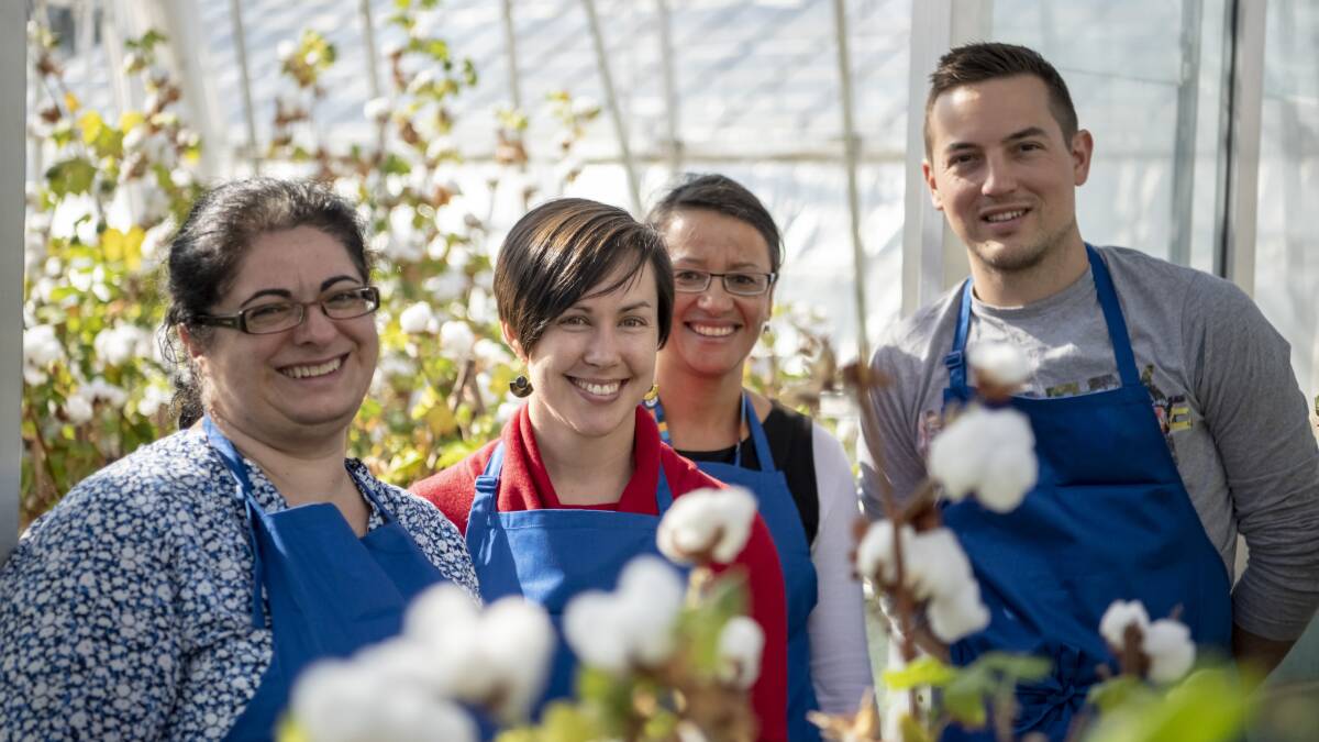 CSIRO scientists are working on a cotton with many of the properties of synthetics.