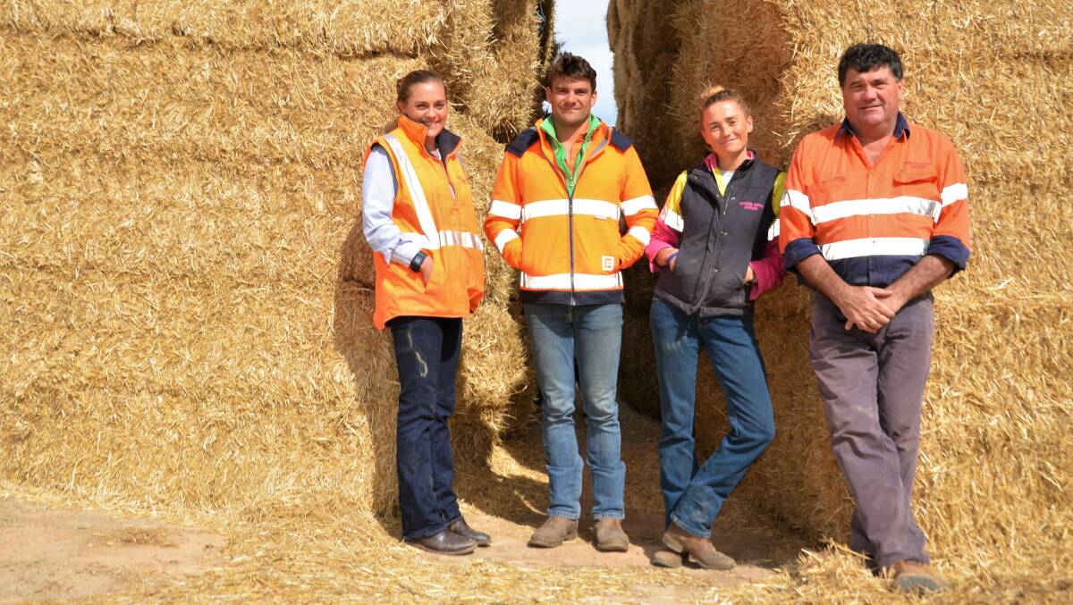 Producing quality feed for the feedlot is a major part of the Princess Royal operation. The Rowe family, siblings Katherine, Jack and Beck with their father Simon. 