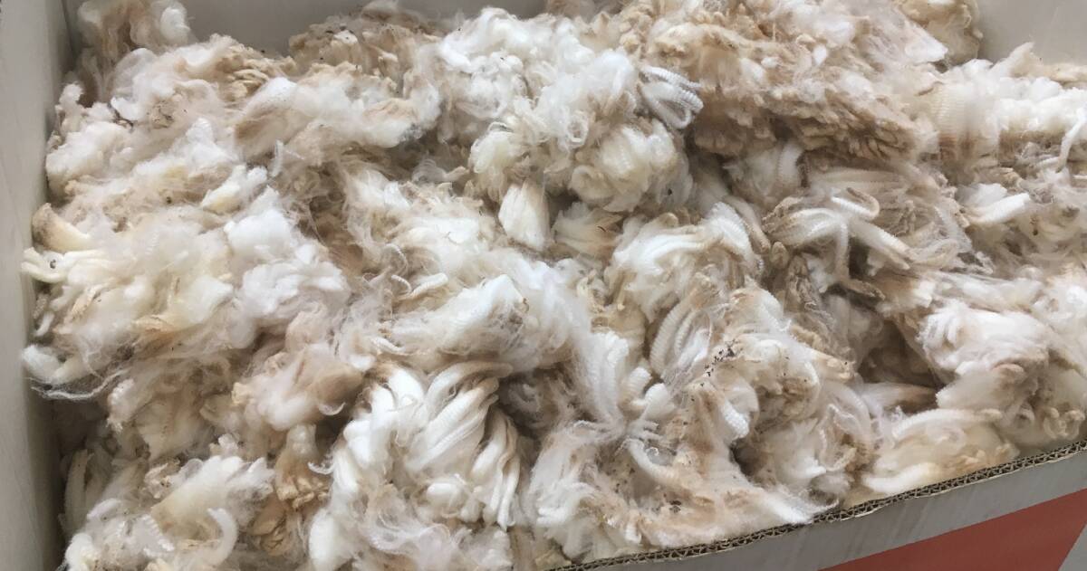 CONTINUED STRENGTH: Merino fleece lines gained as much as 50c/kg at the final Australian wool sales for 2018.