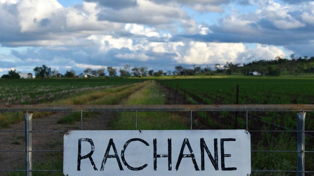The 801 hectare Clermont property Rachane will be auctioned by Elders on April 21.