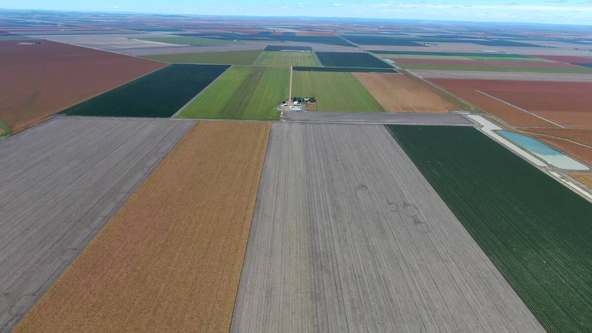 JLL Agribusiness: The blue chip irrigation enterprise Wynola Aggregation and the standalone property Mondamere are headed to auction on July 7. 