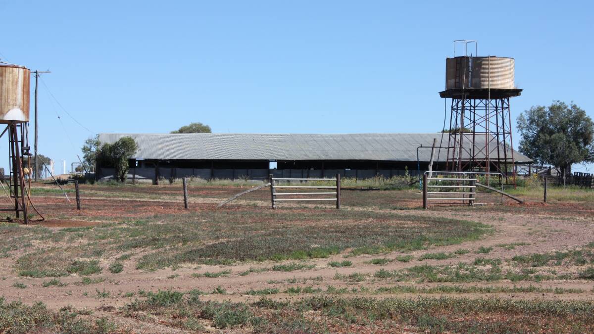 Melrose's five stand shearing shed.