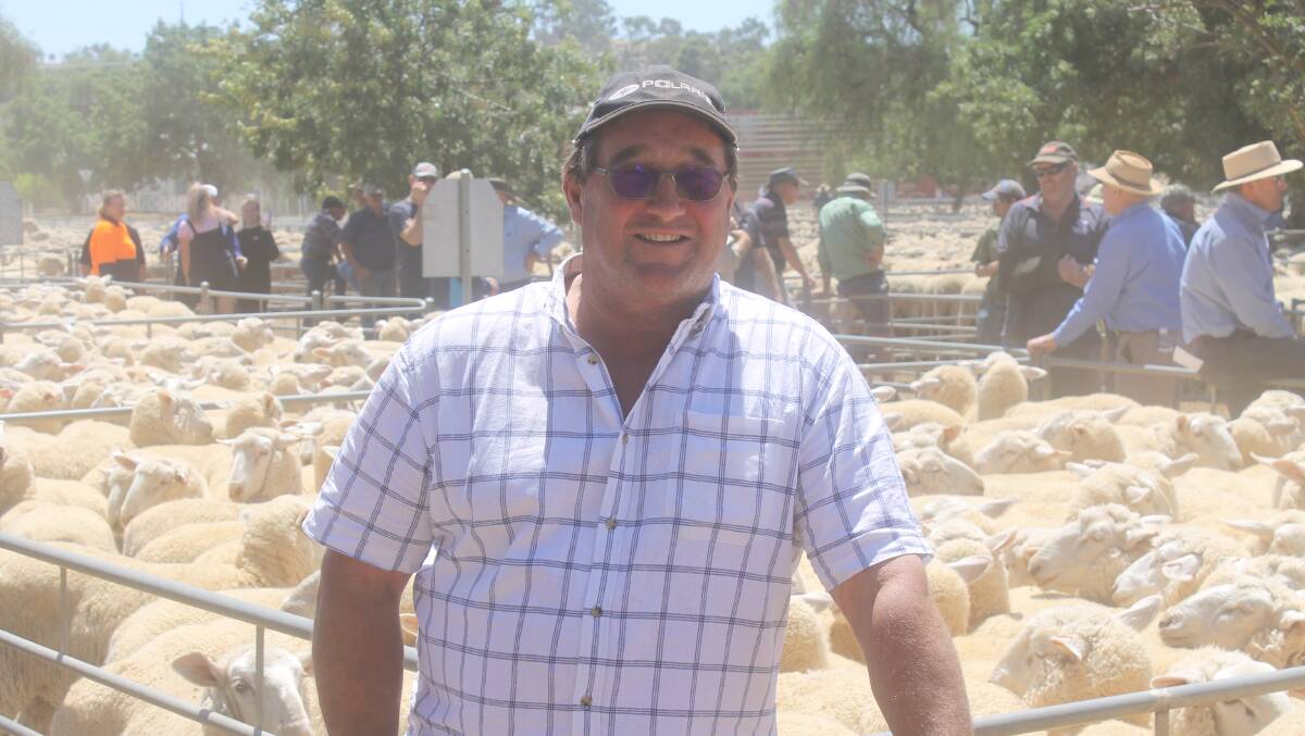 RUINED: Andrew Doonan, Woomelang sold sheep prematurely at Wycheproof following the heavy rain across the Mallee that ruined stubble feed.