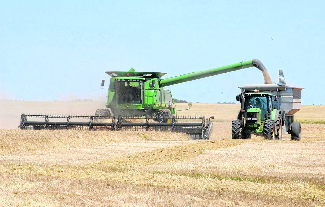 BUSY SEASON: Harvest is a time-sensitive operation and needs to be done efficiently to maximise quality and minimise potential yield losses. But, pushing to get it done can lead to employee fatigue.