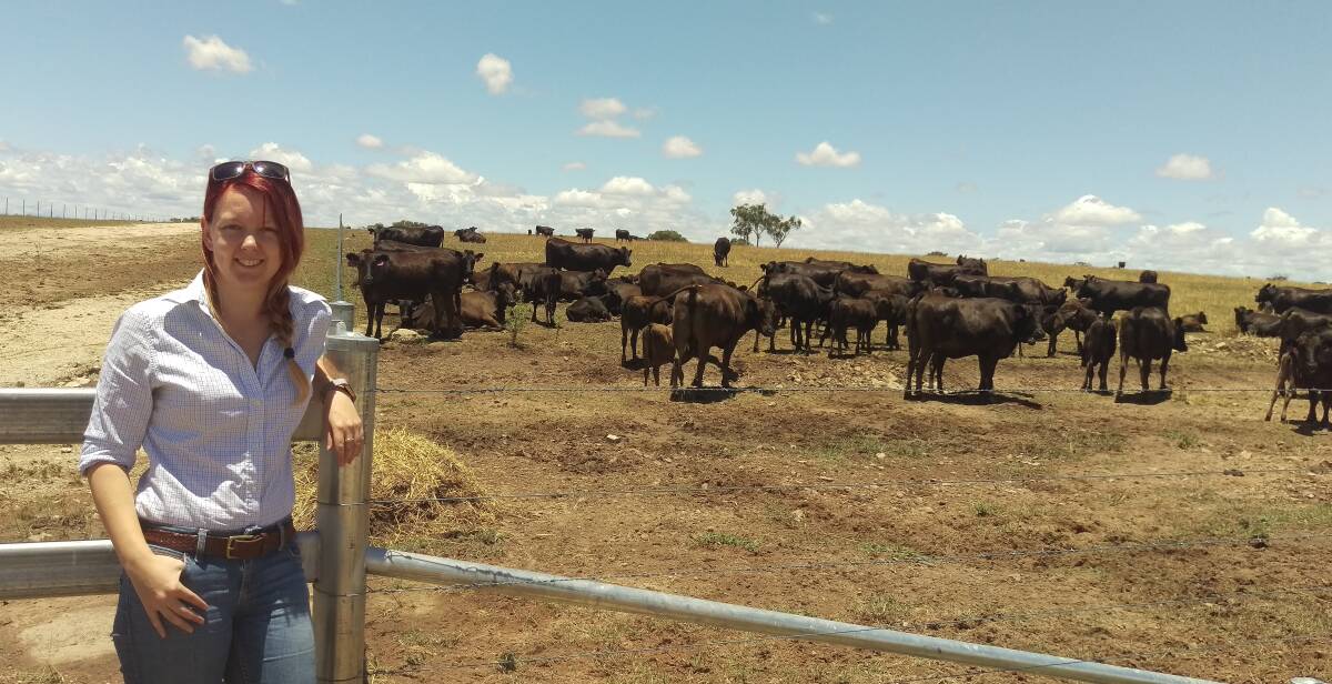 IMPROVED ACCURACY: PhD candidate Rudi McEwin is combining genomics with the use of high-resolution imagery to better identify high-marbling cattle.