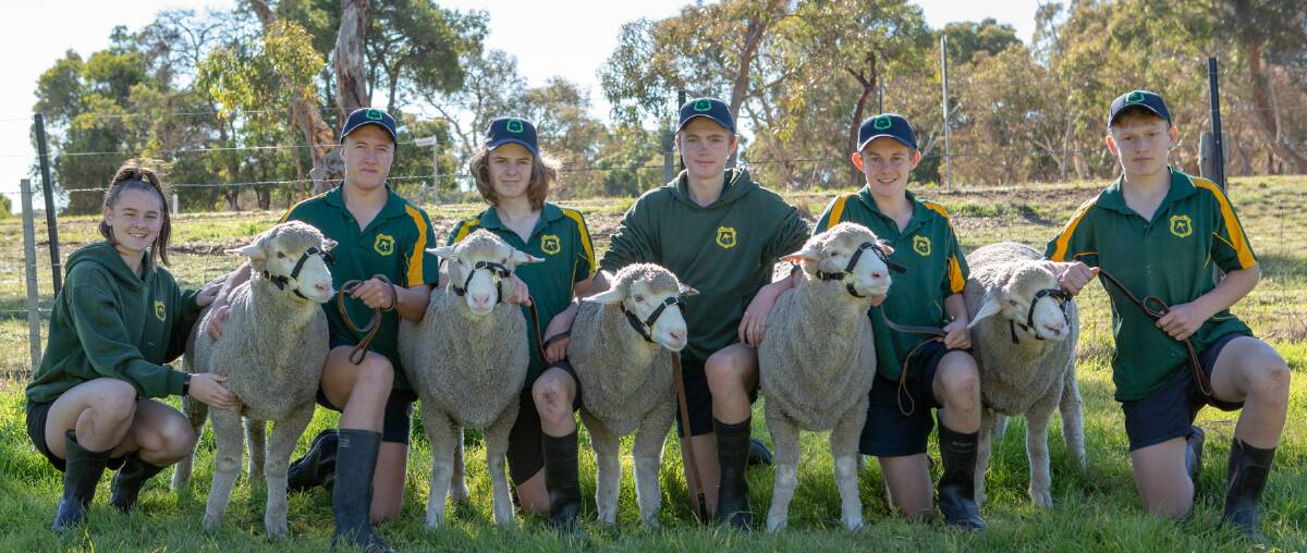 Kangaroo Inn Area School students Tara Nicolle, Cameron Atkinson, Nash Skeer, Jack Cassidy, Will Fry, Myles Widdison with their Merino wether show team for the upcoming 2019 Royal Adelaide Show Schools' Merino Wether Competition