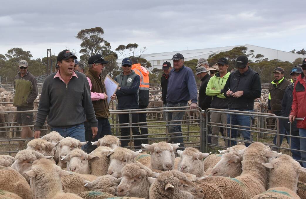 Elders' Mick Noble selling at the 2018 Cleve sheep market. He says the presentation of the 2019 yarding was a credit to the vendors.