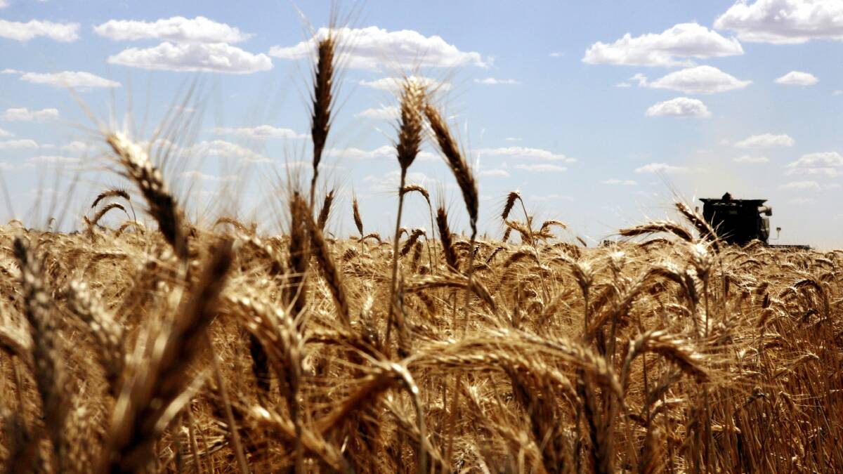 Will we hit grain blueprint targets? | POLL