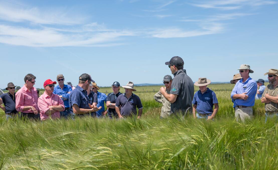 REGULAR HIGHLIGHT: Crop walks are always one of the most popular fixtures on any farming group's calendar.