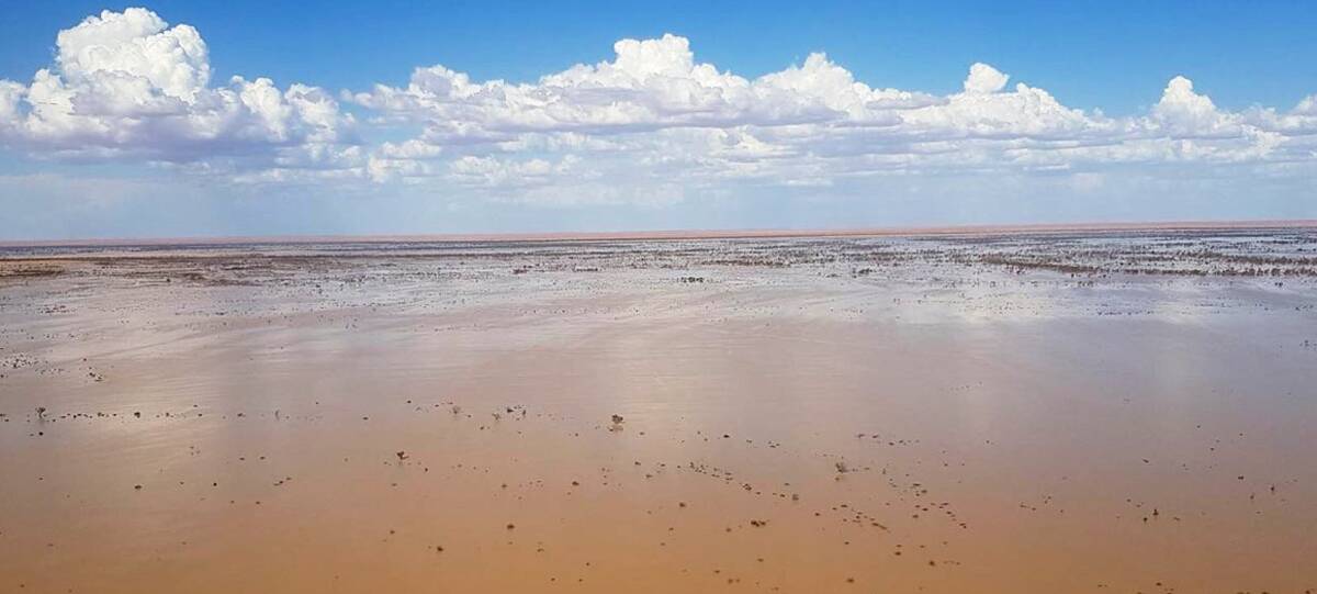 Floodwaters flowing towards Lake Eyre in March 2019. Photo: Trevor Wright
