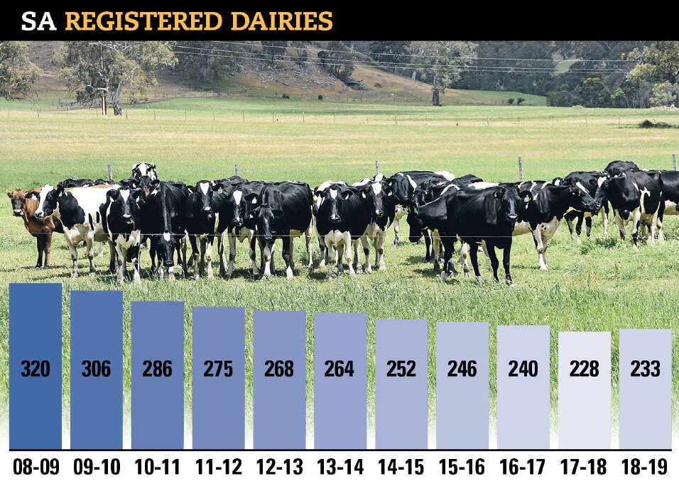 REGISTERED FIGURES: The number of dairies in SA has decreased by about 27pc since 2008-09. In the same period, the number of cows has dropped from 106,000 to 75,000.