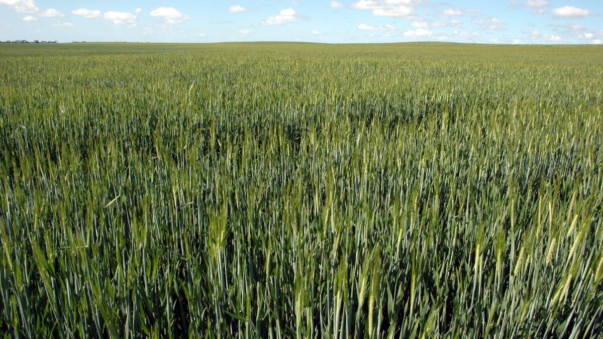 Barley tariffs a 'significant blow': GPSA