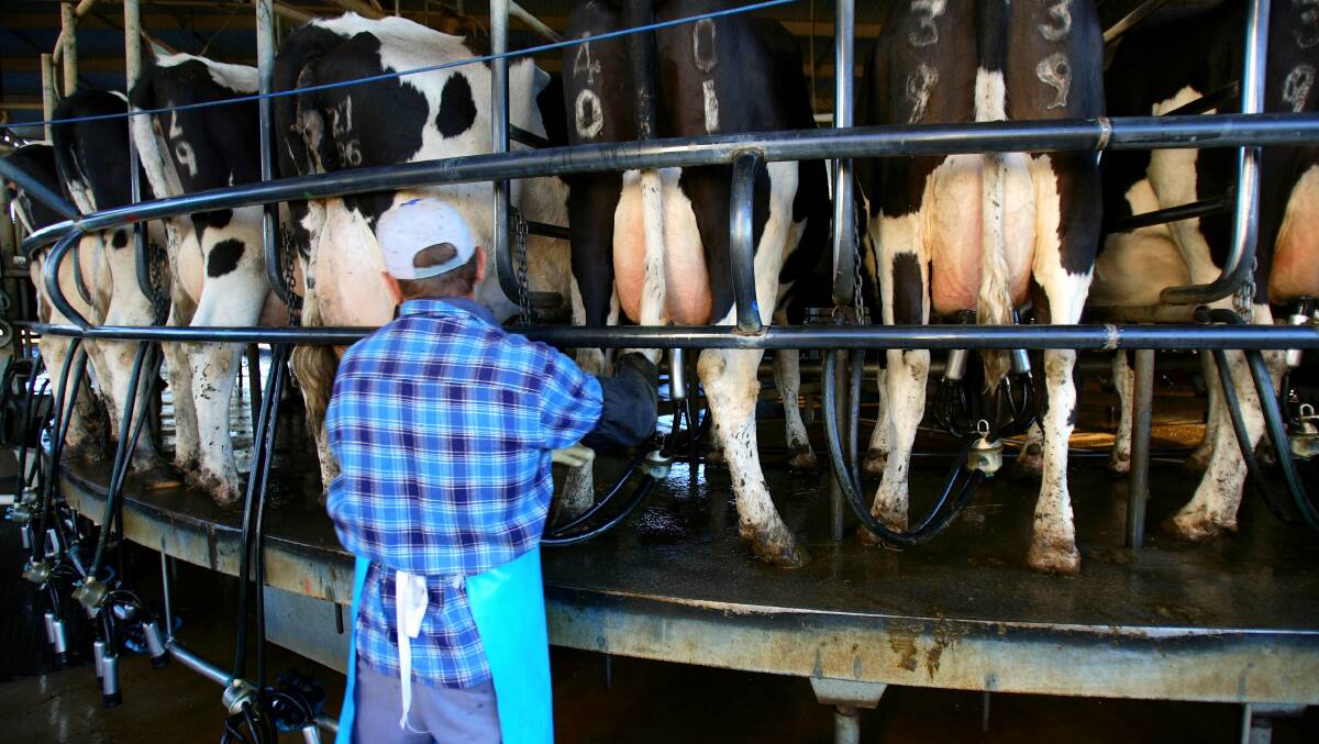CONCERNING OUTLOOK: A national survey has found the majority of dairyfarmers in all regions except Tas feel negatively about the future of the industry.