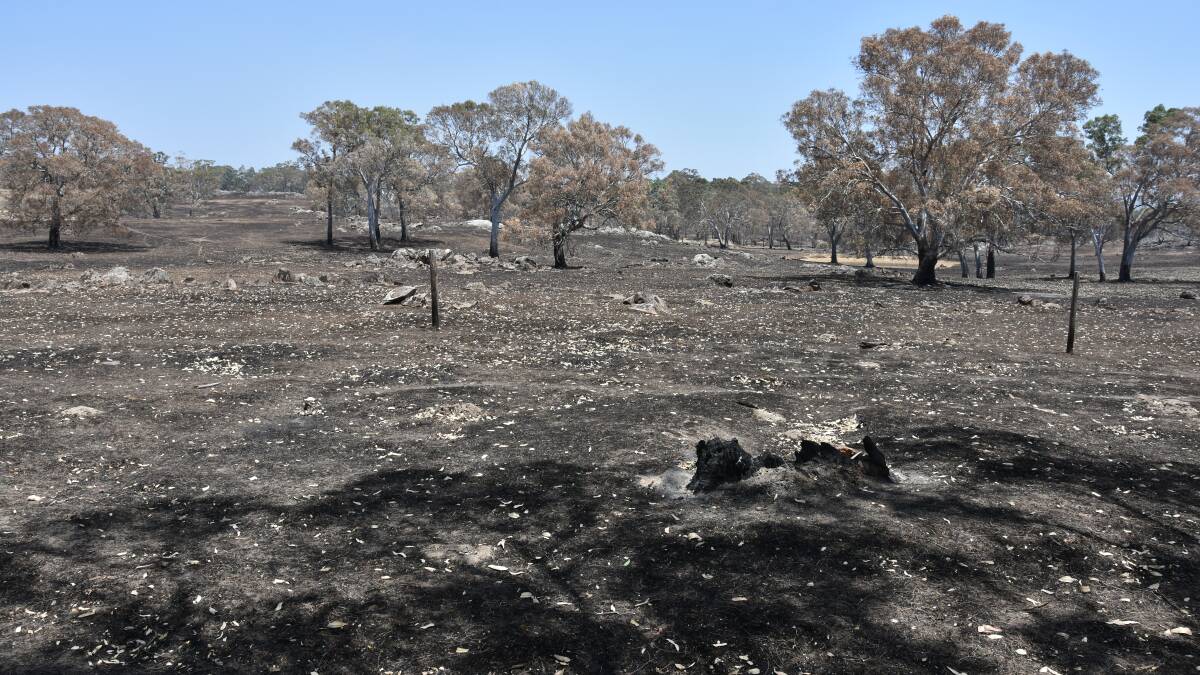 Fire-hit communities given $29m boost
