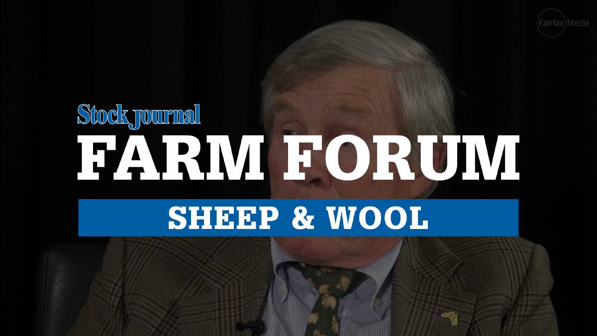 Farm Forum: Sheep’s golden run here to stay