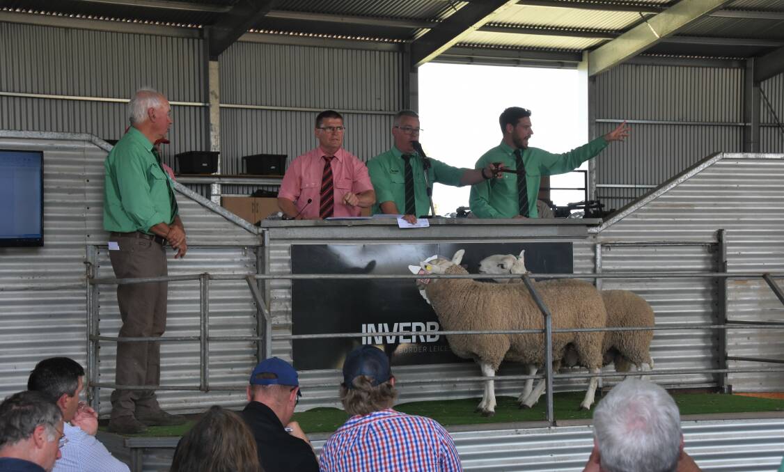 Action at the Inverbrackie Border Leicester sale.