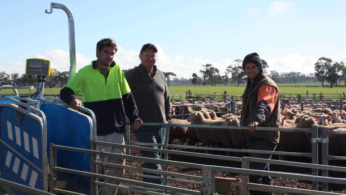TOP STOCK: Bordertown producers Brad Williams, Tim Williams and Jarred Wiese say Border Leicester genetics help breed an ideal prime lamb. 
