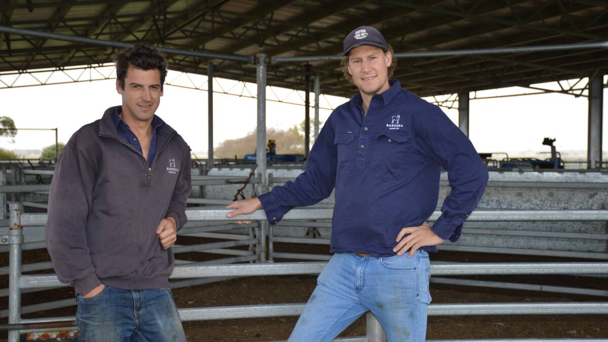 SHEEP CENTRAL: Henry and Will Goode both have a strong interest in their sheep production.