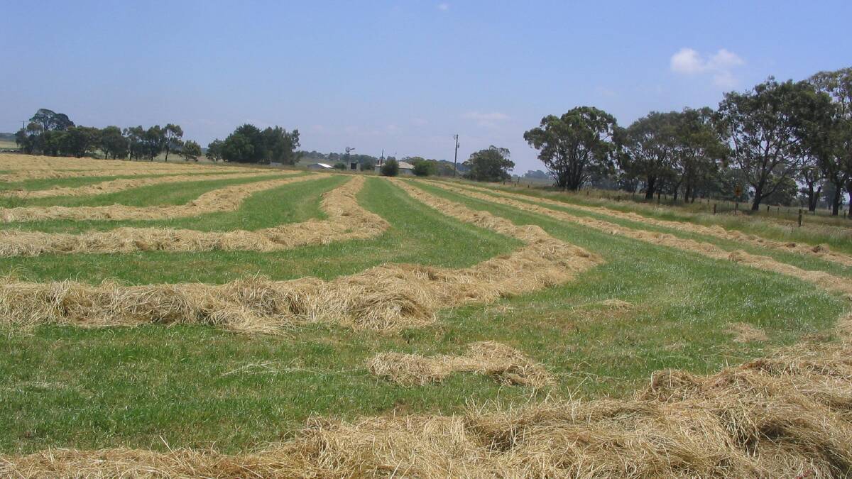 Have you cut crops for hay? | POLL