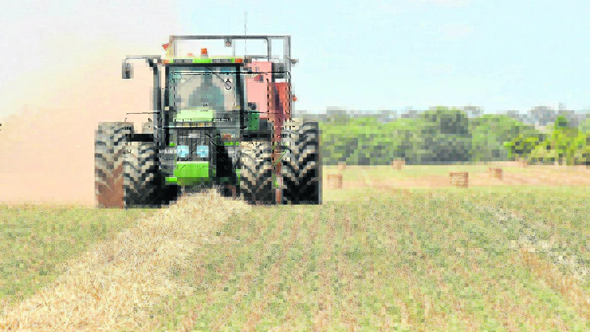 Are interstate subsidies affecting SA hay prices?