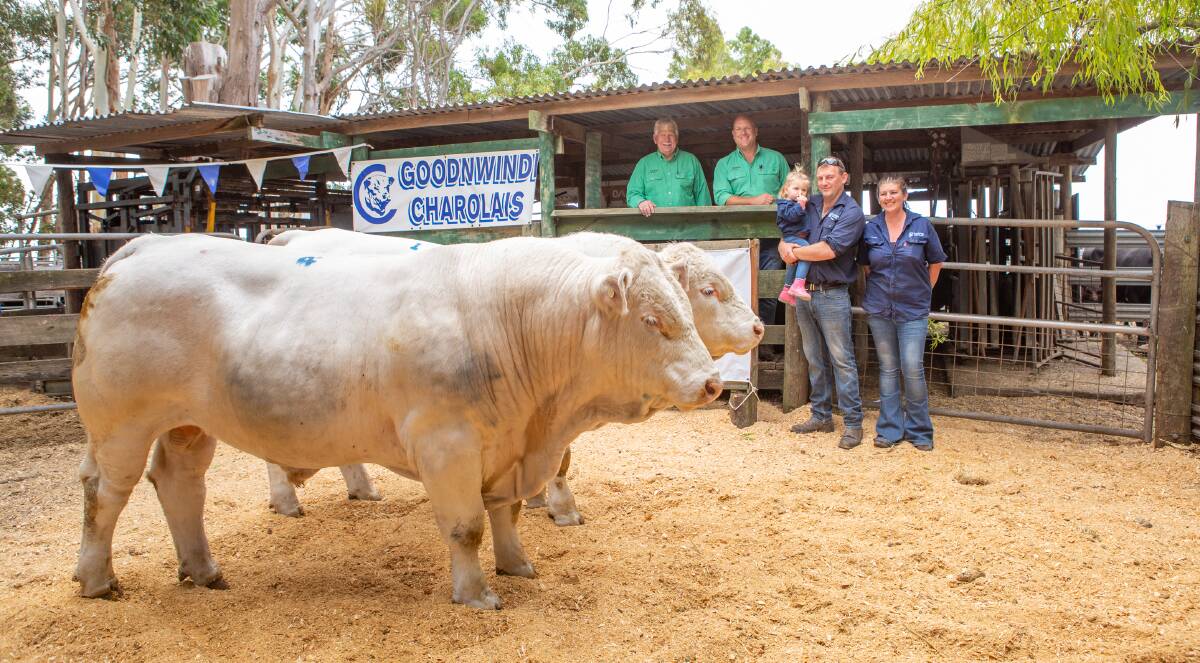 DOUBLE DELIGHT: Nutrien Ag Solutions Millicent's Jim Noonan and Anthony Driessen, Danny and Tasha Bellinger and daughter Tessa, with the two $12,000 bulls.