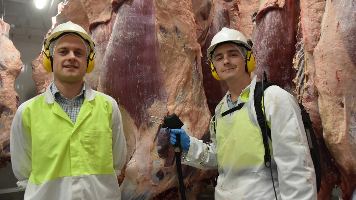 TRIAL TIME: MEQ Probe chief executive officer Jordy Kitschke and technician Callan Daley at Teys Australias Naracoorte abattoir, where the probe is being tested to measure eating quality traits.