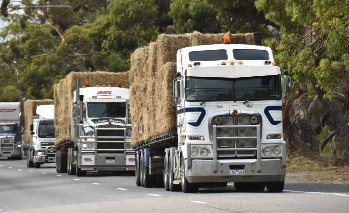 Part of the convoy of trucks heading from Mount Gambier to Cape Jervis with donated hay for fire-affected KI farmers.