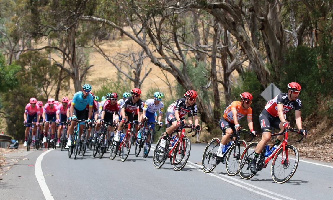 Riders work their way up a hill during the 2020 Tour Down Under. Photo: BELINDA STEVENS