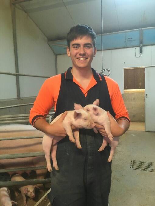 HAPPY HELPER: Roseworthy student Lachlan Irvine-Thomas gets hands-on while on UIPA placement.