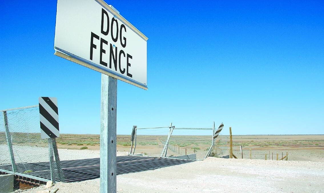 Dog Fence rebuild's second stage begins